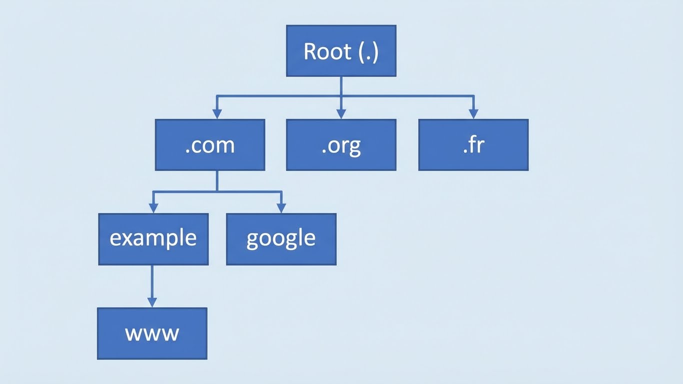 DNS Hierarchy